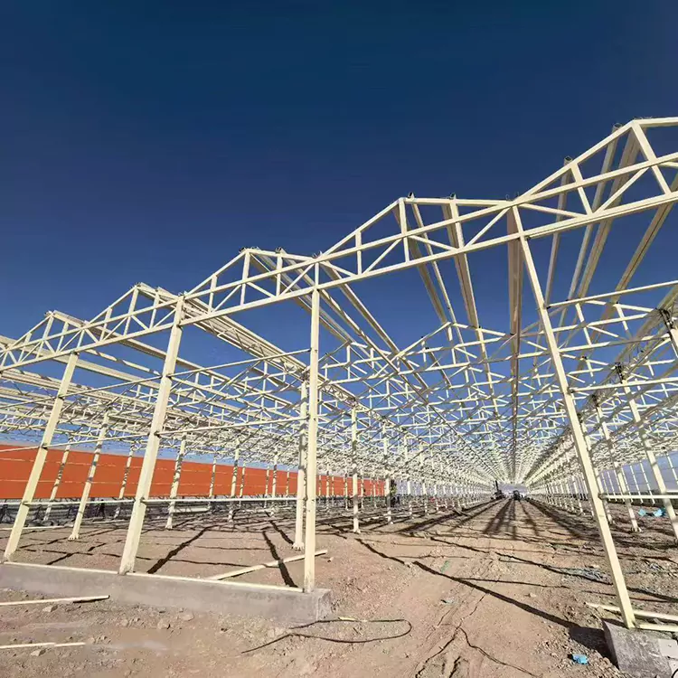 Защо галванизираната стоманена оранжерийна рамка е най-добрият избор за модерно земеделие